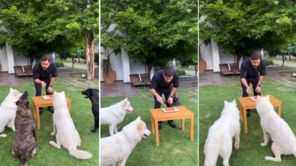 CSK Captain MS Dhoni celebrating his 42nd birthday with his pets 