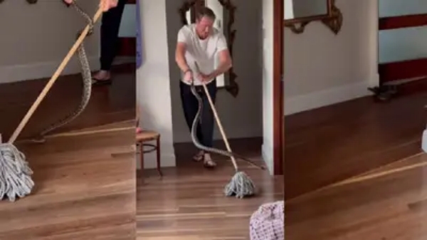 Glenn McGrath escaped from Python - Video 