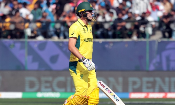 AUS vs NZ: Will Celebrate this Victory against New Zealand says Australia Captain Pat Cummins 