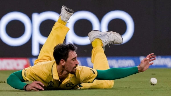 Australia vs South Africa - Australian players dropped four catches Australia vs South Africa - Australian players dropped four catches