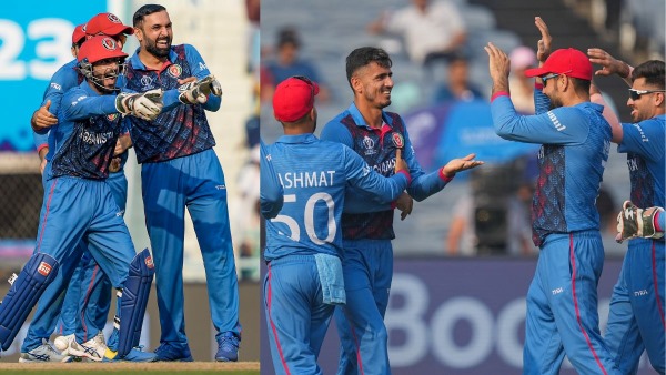ICC ODI World Cup 2023 Points table : Champions Trophy chance for Afghanistan assured 
