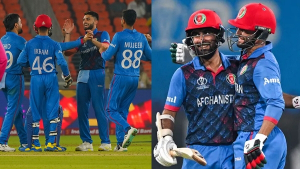 ICC ODI World Cup 2023 SA vs AFG : Afghanistan lost but they wont be forgotten 