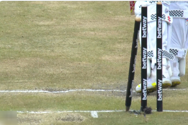 IND vs SA : Kagiso Rabada walks off with a smile after Bumrah cleans up with a Prach Delivery at Centurion 