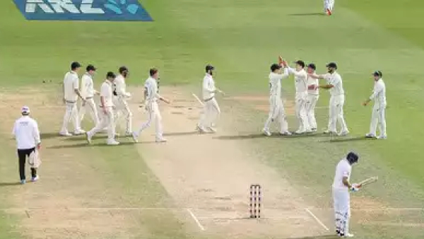 Cricket Representation image