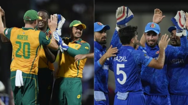 t20 world cup t20 world cup