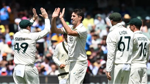 ind vs aus border gavaskar trophy pat cummins