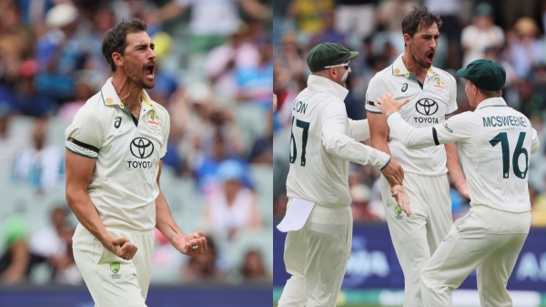 ind vs aus border gavaskar trophy india vs australia test match