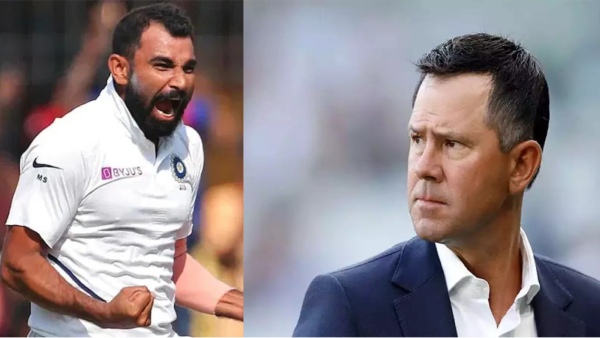 ind vs aus mohammed shami india vs australia test match vs