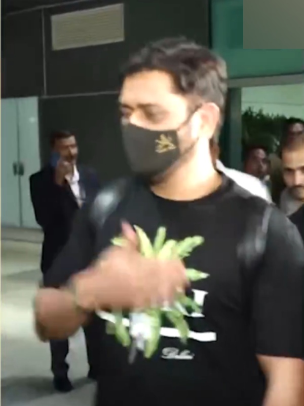 champions trophy 2025 MS Dhoni india cricket team rohit sharma