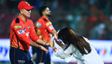 IPL 2026: పంజాబ్ కొంపముంచిన పాంటింగ్!