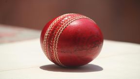 విషాదం.. రోడ్డు ప్రమాదంలో భారత క్రికెటర్ మృతి 