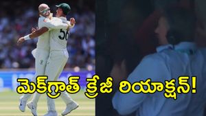 చరిత్ర సృష్టించిన లయన్.. కుర్చీ మడతబెట్టిన మెక్‌గ్రాత్!(వీడియో)