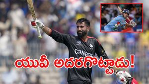 టీ20 వరల్డ్ కప్‌లో వరల్డ్ రికార్డ్: కివీస్‌ను కుమ్మేసిన యువరాజ్!