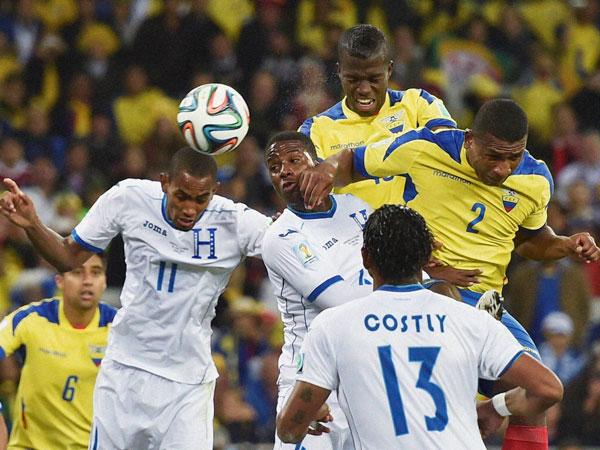 ఫిఫా ప్రపంచ కప్