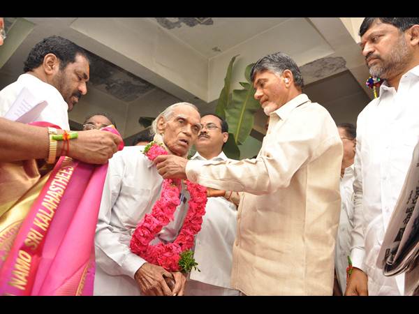 పిచ్చయ్యకు సన్మానం