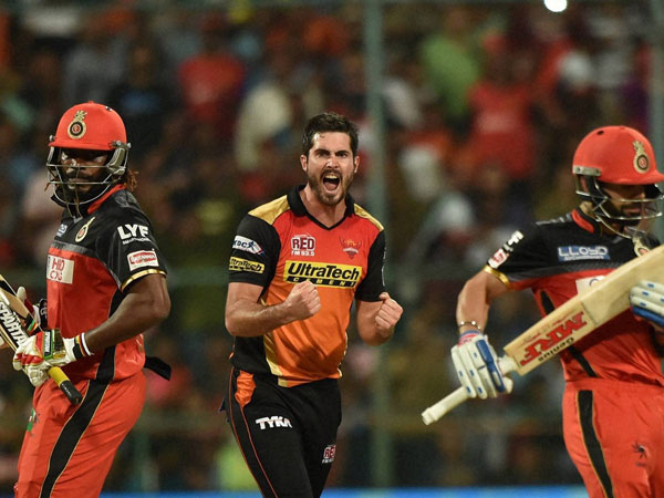 IPL Final: David Warner makes half century