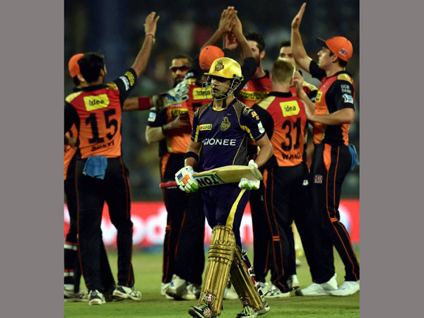 IPL 2016: Hyderabad knock Kolkata out, to face Gujarat in Qualifier 2