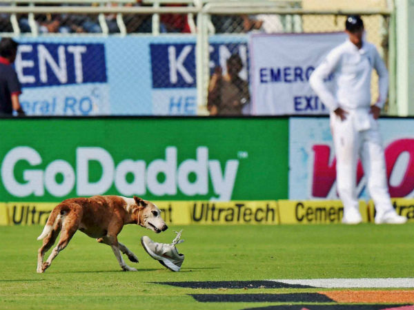 విశాఖ టెస్టులో కుక్క హడావుడి 