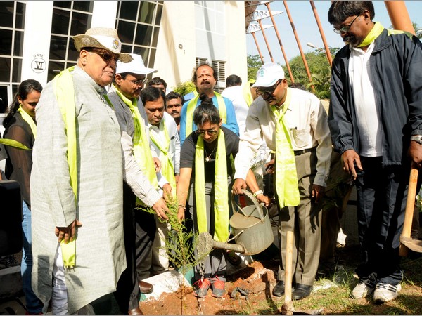 వరల్డ్ కప్ తర్వాత స్టార్లుగా మారిన మహిళా క్రికెటర్లు