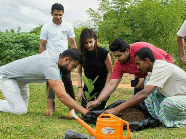 శ్రీలంక పర్యటనలో చెట్టు నాటిన అనుష్క, కోహ్లీ