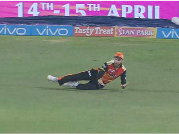 విలియమ్సన్ క్యాచ్