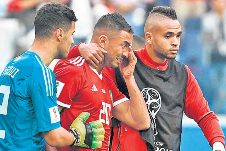 World Cup official animal soothsayer foresees Iran’s victory over Morocco