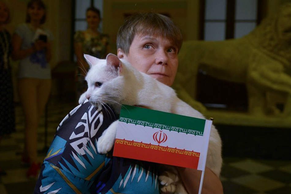 World Cup official animal soothsayer foresees Iran’s victory over Morocco
