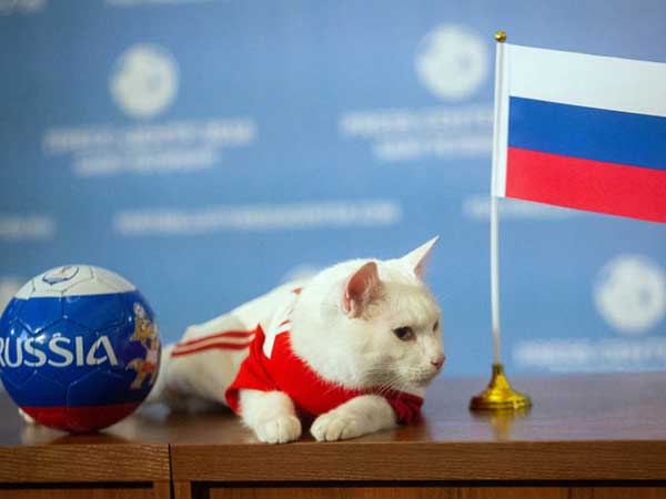  అచిల్లీస్‌ ఊహించిన జట్లే గెలిచాయి