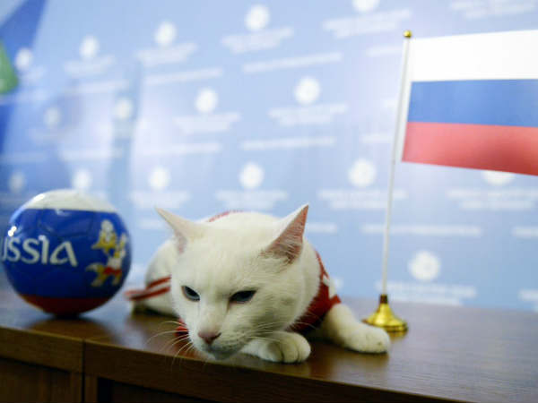 నిజం అవ్వడం ఇది తొలిసారేం కాదు