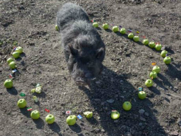 మార్కస్ నాకు ఏడో సంతానం లాంటింది