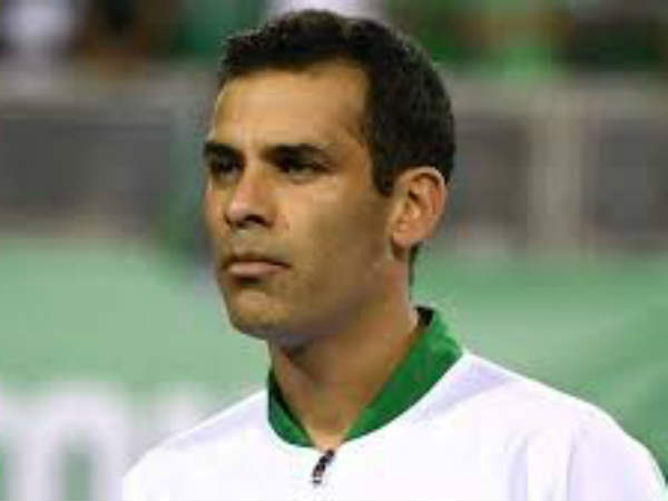 దాదాపు ఒంటరి పక్షిలా :