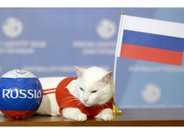 అచిల్లె అంచనా ఎంతవరకు నిజమౌతుందో 