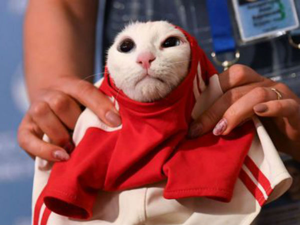 మాస్కో వేదికగా గురువారం సాకర్ సంరంభం మొదలు