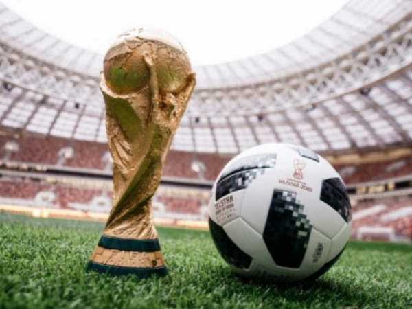 ఎన్ని జట్లు అర్హత సాధించాయి?