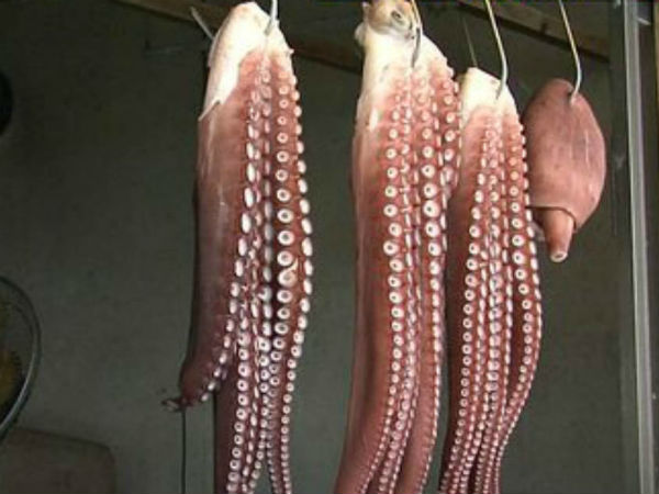 మాంసంగా అమ్మితే తాను ఎక్కువ సంపాదిస్తానని: 