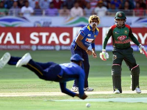 49.3 ఓవర్లలో 261 పరుగులకు ఆలౌట్