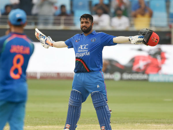 ఓపెనర్‌ షెజాద్‌ బ్యాటింగే హైలైట్‌