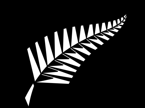 ఎక్కువ బంతులాడి డకౌట్‌గా వెనుదరిగిన బ్యాట్స్‌మన్ 