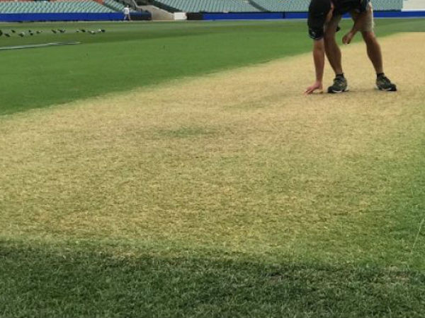  పగటి పూట ఇలా అవసర్లేదు