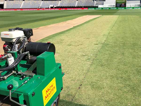 అడిలైడ్‌లో 20కి 14 వికెట్లు తీశారు