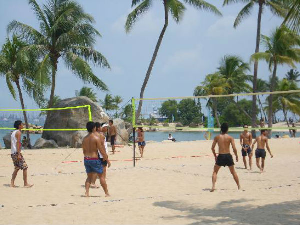 పోలికలు ఉన్నప్పటికీ చాలా తేడాలు