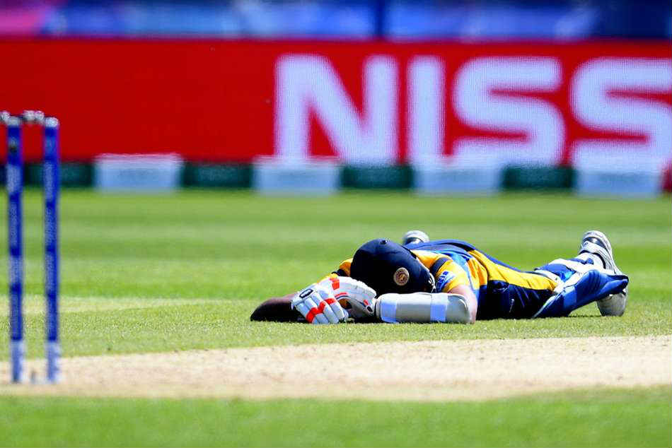 ICC World Cup 2019: Swarm of bees interrupts Sri Lanka-South Africa game at The Riverside ICC World Cup 2019: Swarm of bees interrupts Sri Lanka-South Africa game at The Riverside