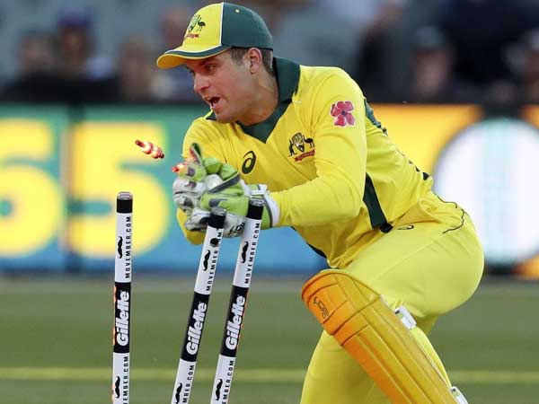 టిమ్‌కు ఏదైనా జరిగితే: