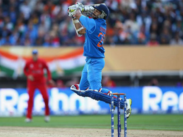  పండండి పాప: