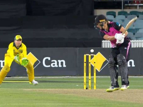 అలిస్సా అర్ధ సెంచరీ: