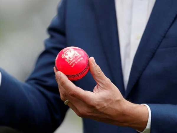 మంచు తగ్గిన తర్వాత పింక్ బాల్‌ను