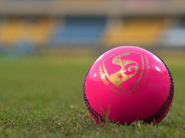 పింక్ బాల్ టెస్ట్ కోసం ప్రత్యేకంగా పింకు-టింకు అనే మస్కట్‌