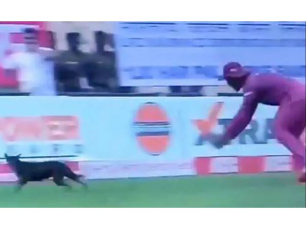  వెంటబడ్డ విండీస్ ఆటగాళ్లు: