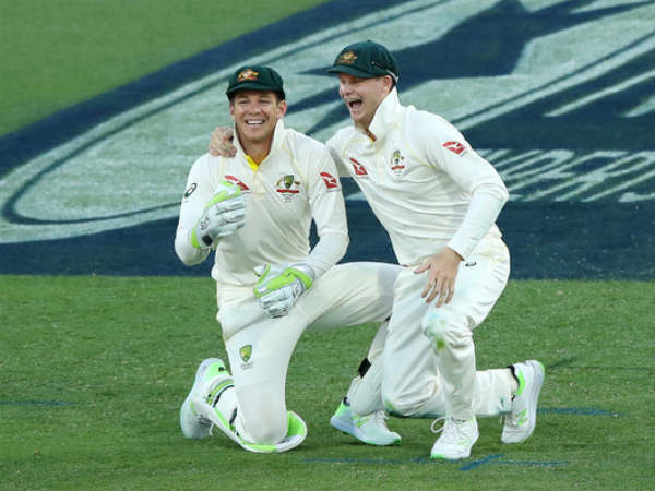 పైన్‌ను తక్కువ చేయడం లేదు: