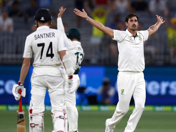  స్టార్క్‌ విజృంభణ